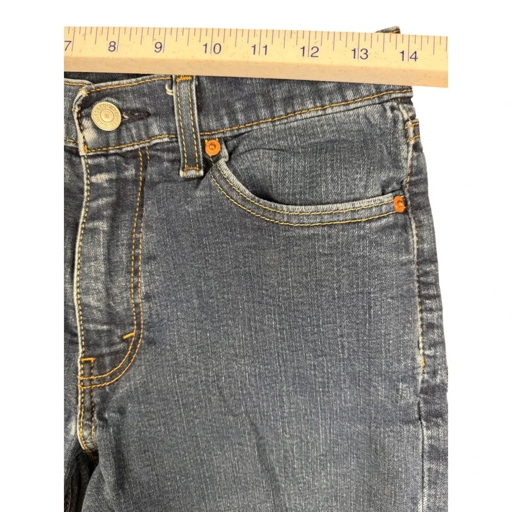 Levis levi 541